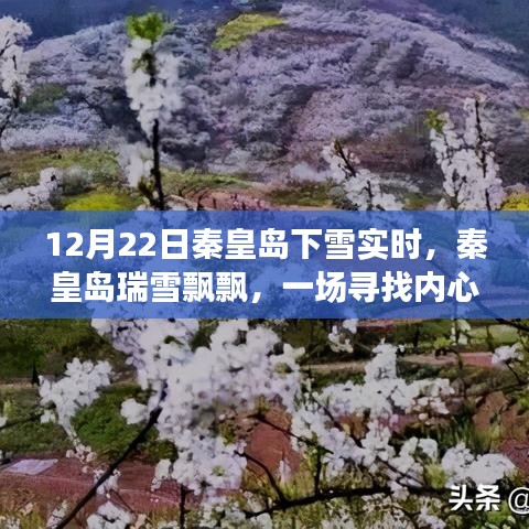 秦皇島瑞雪飄飄，雪域之旅尋找內心平靜的時刻