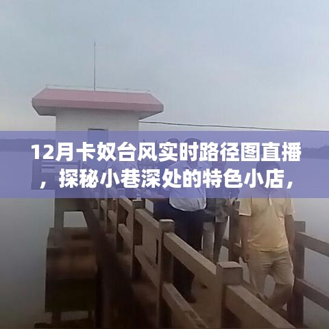 12月卡奴臺風下的特色小店探秘之旅，實時路徑圖直播