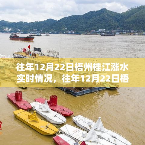 往年12月22日梧州桂江漲水現象，實時情況與分析