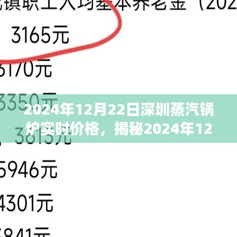 揭秘蒸汽鍋爐市場，深圳蒸汽鍋爐實時價格與專業解讀（2024年12月22日）