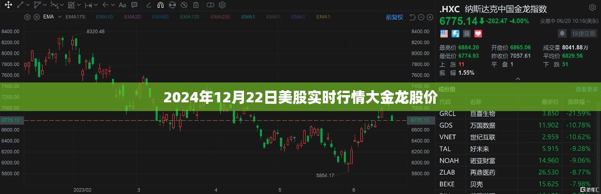 大金龍股價實時行情分析（美股市場）