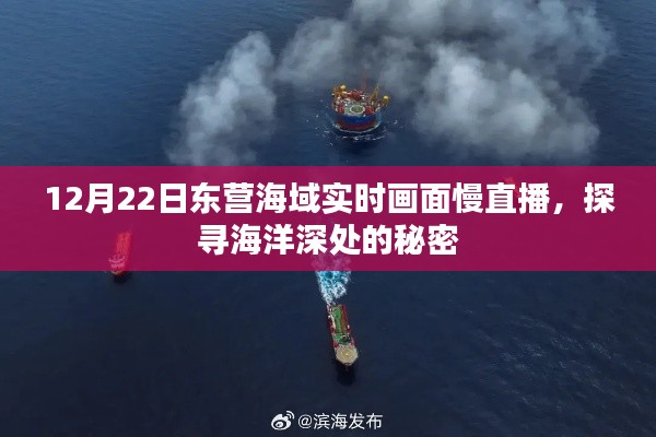 探尋海洋秘密，東營海域實時畫面慢直播開啟