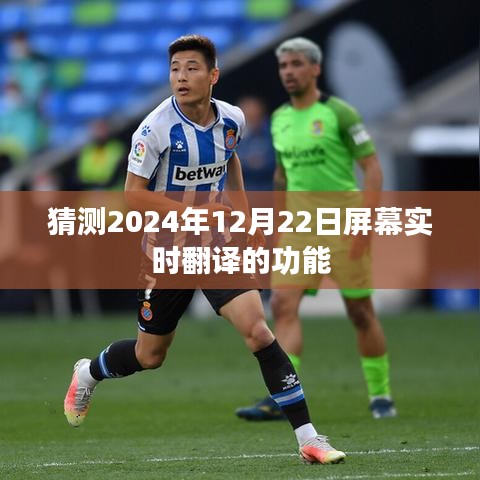 實時屏幕翻譯功能預測，未來在望，2024年12月22日的新突破