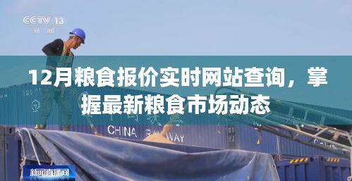 12月糧食報價實時查詢，掌握市場動態行情