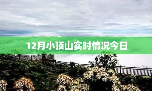 小頂山最新實時動態，今日概況