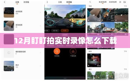 盯盯拍12月實時錄像下載攻略