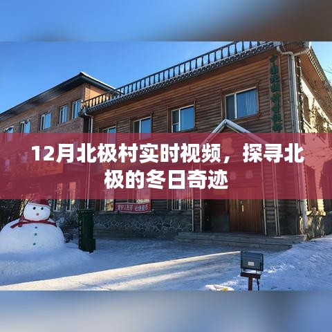 北極村冬季實時視頻，探尋冬日奇跡