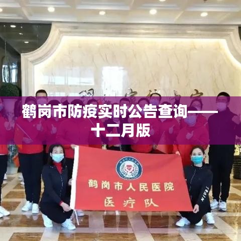 鶴崗市十二月防疫實時公告查詢更新