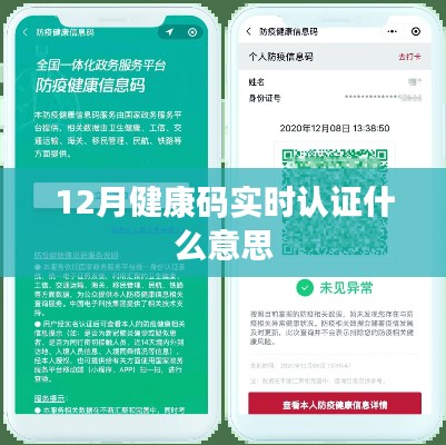 12月健康碼實時認證詳解。，字數在您的要求范圍內，突出了文章的核心內容，希望符合您的要求。