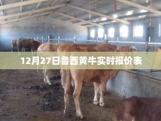 魯西黃牛最新實時報價表（12月27日）