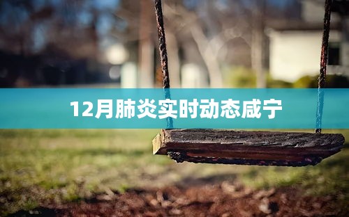 咸寧地區(qū)肺炎實時動態(tài)報告，12月最新情況分析