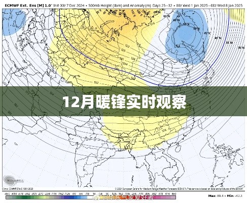 暖鋒觀察，揭秘十二月最新動態(tài)