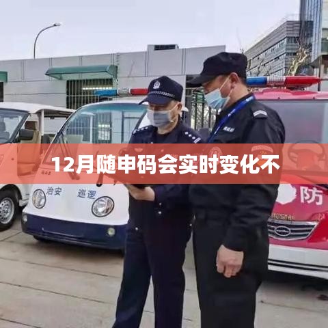 隨申碼實時變化情況解析，12月最新動態