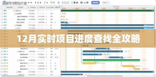 12月項目進度查詢全攻略，實時追蹤，輕松掌握
