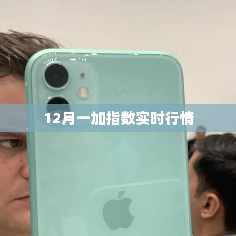 12月一加指數最新實時行情分析