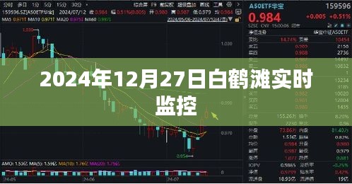 白鶴灘水電站實時監(jiān)控，揭秘大壩運行實況