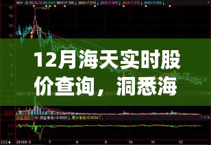 海天實時股價查詢，洞悉最新動態(tài)