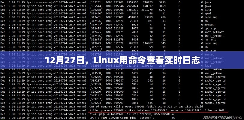 Linux實時日志查看命令解析