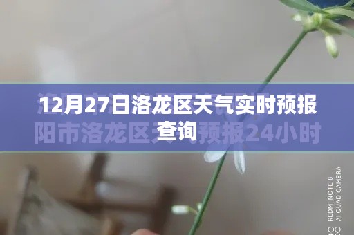 2024年12月 第28頁