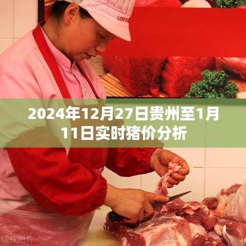 貴州至一月實(shí)時豬價分析，2024年預(yù)測報告