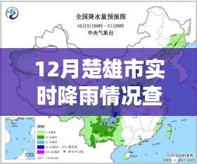楚雄市最新降雨情況查詢報告