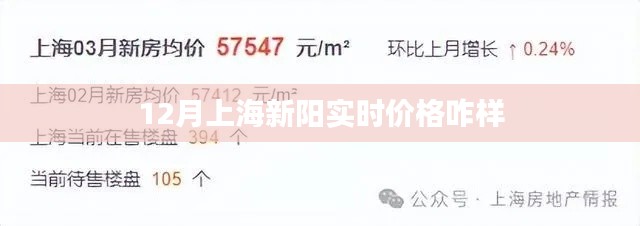 上海新陽實時價格走勢分析