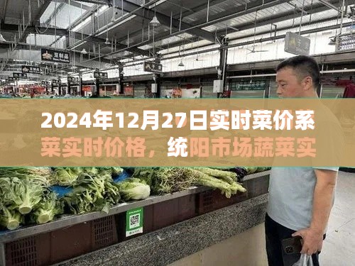 2024年菜價實時更新系統，最新菜價查詢