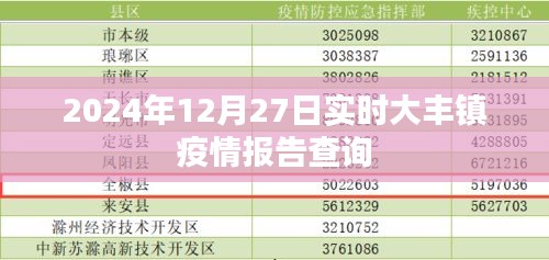 大豐鎮疫情報告實時查詢（最新更新至2024年）