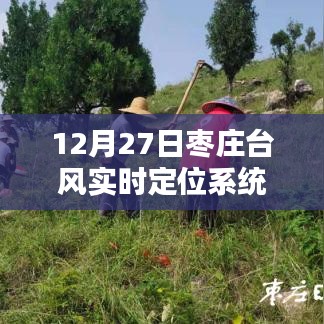 2024年12月 第11頁