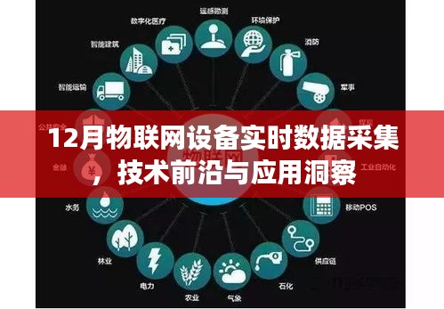 12月物聯網設備實時采集技術，應用洞察與前沿探索