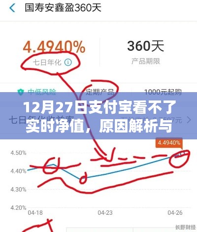 支付寶實時凈值無法查看，原因解析及應對方法