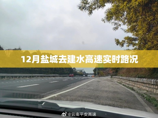 2024年12月 第6頁