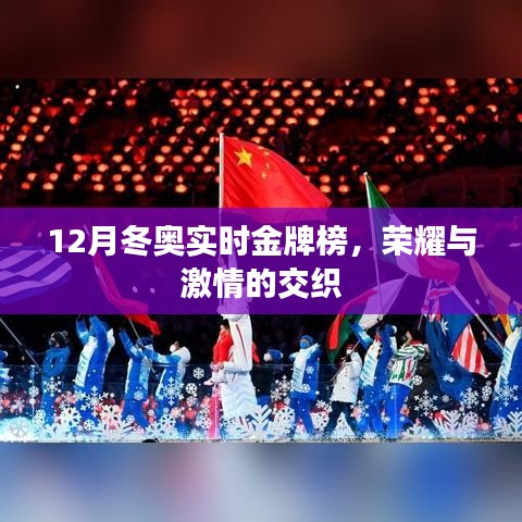 冬奧金牌榜，榮耀與激情的碰撞