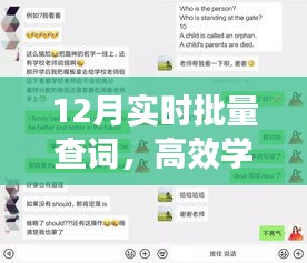 實時批量查詞，高效學習新途徑揭秘