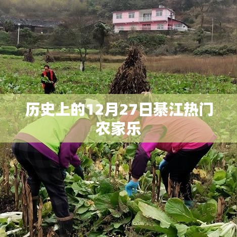 綦江熱門農家樂歷史回顧，12月27日這一天