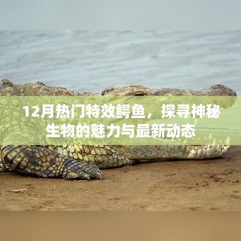 揭秘十二月熱門特效鱷魚，神秘魅力與最新動態探索