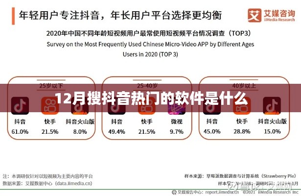 抖音熱門(mén)軟件排行榜，十二月必備應(yīng)用推薦
