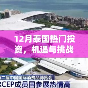 泰國十二月投資熱點分析，機遇與挑戰并存的投資領域探討
