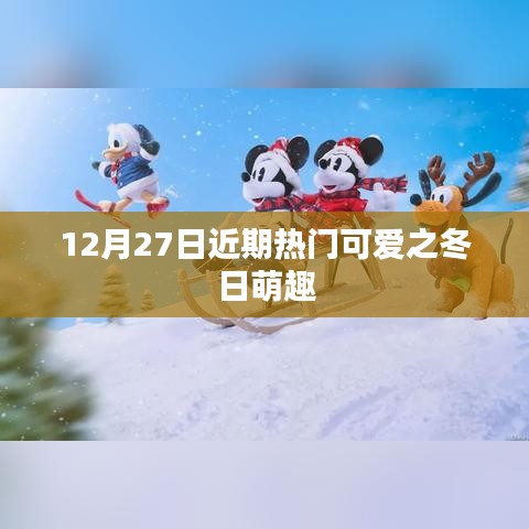 冬日萌趣，12月27日熱門可愛精選