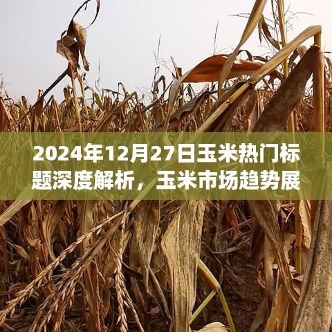 富貴有余 第4頁
