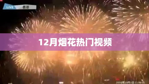 12月煙花盛宴，熱門視頻大賞