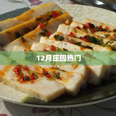 莊園十二月熱點(diǎn)聚焦