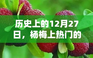 楊梅上熱門時刻，歷史上的12月27日回顧
