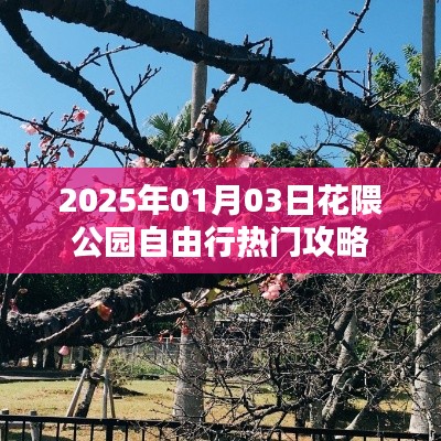 花隈公園自由行指南，熱門攻略揭秘