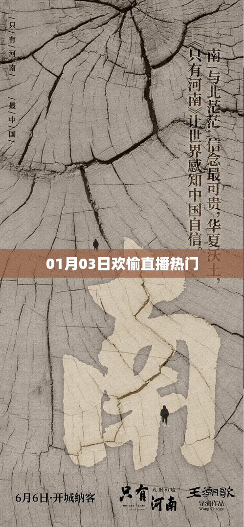 歡愉直播，熱門節目一覽