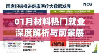 01月材料行業就業深度解析及前景展望