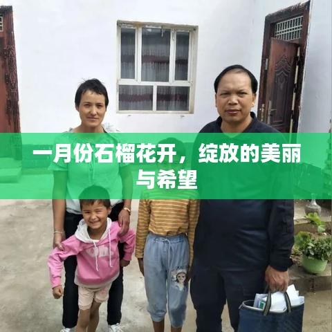 一月份石榴花開，希望與美麗的綻放