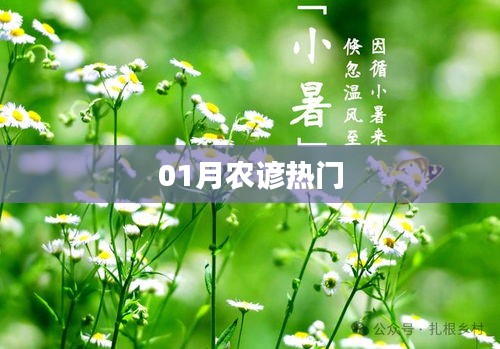農歷一月農諺俗語大熱解讀