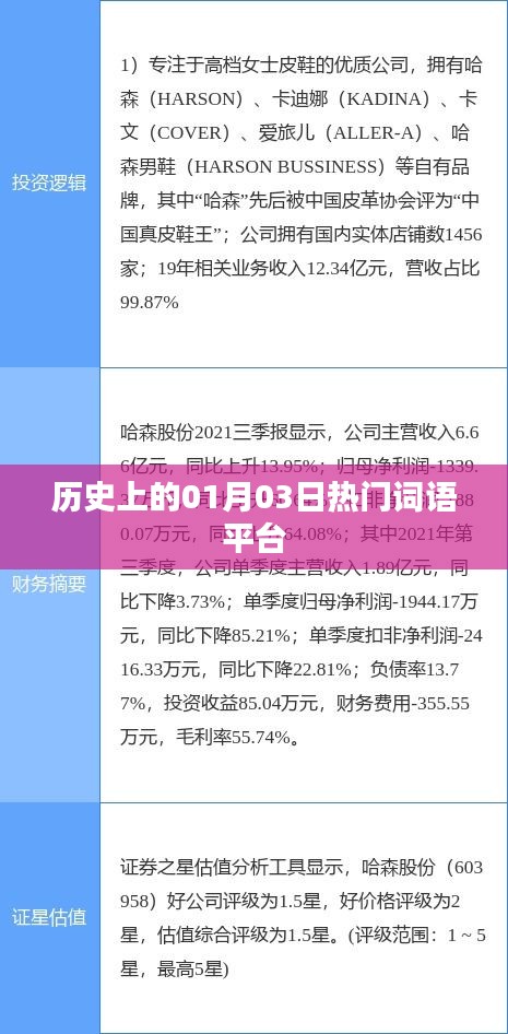 歷史上的熱門詞語平臺，一月三日回顧