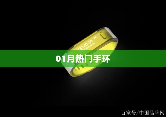 熱門手環(huán)大盤點(diǎn)，精選一月好貨